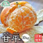 ショッピング甘平 甘平 みかん 10kg かんぺい 送料無料 愛媛 八幡浜 農園直送 産地直送 ノーワックス マルナカ農園