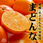 まどんな 家庭用 2.5kg 訳あり 愛媛 減農薬 ワックス 防腐剤不使用 柑橘 家庭用 箱買い 産地直送 農園直送 木下農園