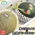 父の日 お中元 メロン スイカ ギフト 熊本 2玉入 果物 送料無料 御中元 フルーツ 肥後グリーン 黒小玉 すいか 産地直送 岡山農園
