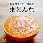ma какой 2kg Ehime .. no. 28 номер подарок по случаю конца года .. подарок мандарин .. какой такой же товар вид . пестициды убийца сорняков не использование сельское хозяйство дом прямая поставка Ehime orange линия 