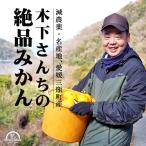 ショッピングせとか みかん 愛媛 家庭用 わけあり 10kg 減農薬 ワックス 防腐剤不使用 訳あり 柑橘 箱買い 産地直送 農園直送 木下農園