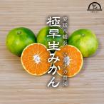  высшее . сырой мандарин есть перевод 5kg маленький шар Ehime сельское хозяйство дом прямая поставка прямая поставка от производителя ma luna ka сельское хозяйство .