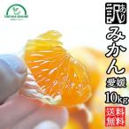 みかん 10kg 訳あり 送料無料 愛媛 ノーワックス 農家直送 温州みかん 早生みかん 果物 八幡浜産 産地直送 ミカン マルナカ農園