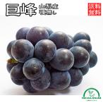 .. вид нет 2kg подарок O-Bon ... Yamanashi фрукты ... предмет прямая поставка от производителя сельское хозяйство . прямая поставка ...