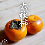  хурма futoshi осень хурма 1kg Saxa k еда чувство нет пестициды Wakayama сельское хозяйство дом прямая поставка 