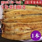 うなぎ白焼き （大）鰻 1尾