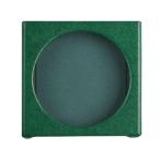 FiiO(fi-o) FIO-SK-SSDISC-GR зеленый Snowsky DISC FIO-SSDISC специальный защита кейс 