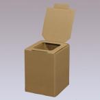 アイリスオーヤマ(Iris Ohyama) BTS-250 簡易トイレ