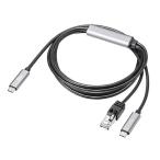  Sanwa Supply KB-SL6CLANPD2BK внезапный скорость зарядка соответствует USB Type-C LAN изменение кабель Gigabit соответствует PD100W 2m