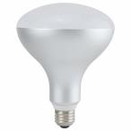 LED電球、LED蛍光灯
