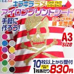 セット割10  A3サイズ約30cm×42cm ラメ