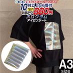 セット割10  A3サイズ約30cm×42cm ホロ