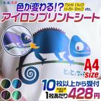 セット割10  A4サイズ約20cm×30cm 色変