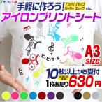 セット割10  A3サイズ約30cm×42cm アイ