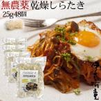 ゼンヌードル ＆ パスタ スープ無し 25g×48個 こんにゃく麺 ダイエット 乾燥 しらたき 無農薬 zenpasta 送料無料 ゼンパスタ 低糖質 低カロリー 糖質制限