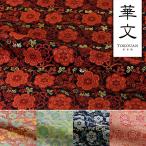  мир рисунок ткань золотой . ткань Kyoto запад . тканый .. документ ( все 5 цвет ) 10cm единица измерения продается куском 