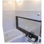 8 листов входит BM3-Z автобус panel ванная * гигиенический Zone для салон материал автобус шлепанцы 3mfkbi химическая промышленность оплата при получении не возможно 