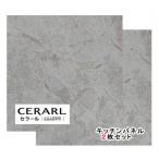 アイカ工業 石目柄 FJ-10125ZD セラール 3×8(3×935×2 455mm)サイズ 2枚入【代引不可】
