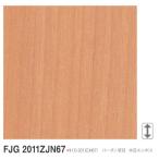 a кальмар погреб ruFJGA2011ZJN67 3×8 размер (3×935×2455mm)