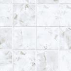 a кальмар промышленность .. рисунок FYCA1724ZMN погреб ru автобус салон для 3×8(3×910×2 420mm) размер [ оплата при получении не возможно ]