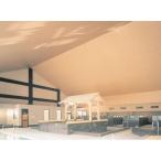 12 листов входит J3BW автобус panel . не . для 200-I type R( позиций предмет отдельный ) 3B 3Mfkbi химическая промышленность оплата при получении не возможно 