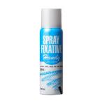ホルベイン O620 100ml スプレー ハンディフィキサチフ（定着液） 05620