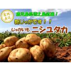  новый ... картофель 5 kilo 5kg добродетель . остров производство nisiyutaka лошадь колокольчик .ba Ray sho Кагосима производство 