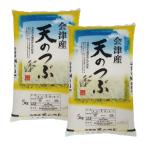 令和6年 会津産 天のつぶ 精米 10kg（5kg×2）お米 ※九州は送料別途500円・沖縄は1000円【お届け日指定：11月30日まで】