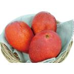 .. манго ( Apple манго ) примерно 1kg (2~3 шар ). старый остров производство 