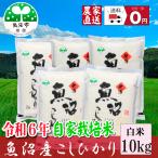 ショッピングお米 【農家直売】 お米１０ｋｇ 白米 令和6年産 魚沼産コシヒカリ 2Kgを×５袋 安心安全 農家直送 信頼と品質のお米 魚沼市推奨コシヒカリ 送料無料