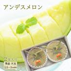 メロン  2玉入り 大玉 秀品 2.5-3kg前