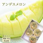 メロン 4玉入り 大玉 秀品 約5kg前後 青肉メロン アンデスメロン めろん ギフト 贈答 秀品 産直 取寄せ 指定日不可 常温便
