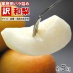 梨 和梨 なし ナシ 訳あり 和梨 約5kg前後 10-24玉前後 数量限定、送料無料、ご家庭用、品種おまかせ、サイズおまかせ、自宅用、家庭用 爆買