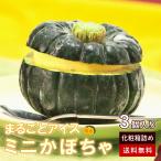 まるごとかぼちゃアイス３個セット敬...