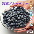 お試し用！冷凍ブルーベリー約500ｇ