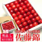 【母の日ギフト5/6-5/11に発送】さくらんぼ 山形県産 佐藤錦（秀品 Lサイズ 300g カーネーション付 手詰め 化粧箱 入り) / フルーツ