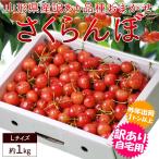 さくらんぼ 佐藤錦 紅秀峰 など 品種おまかせ 山形県産 訳あり 約1kg バラ直詰め Ｌサイズ 家庭用 品種おまかせ お試し用【6月中旬頃から出荷開始】