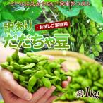 朝採り えだまめ エダマメ 枝豆 訳あり だだちゃ豆 約1kg 枝豆 山形産 無選別 家庭用