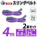 2本セット スリングベルト 4m 800kg 幅 25mm ベルトスリング 玉掛け 引っ越し 吊り具 荷重表 種類 運搬用ベルト 運搬用スリング 吊具