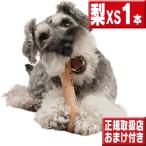 Chew for more trees XSサイズ梨の木