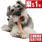 chew 梨 Ｓ１本 犬 おもちゃ 噛む 骨型