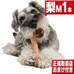 chew 梨 Ｍ１本 犬 おもちゃ 噛む 骨型