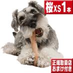 chew 桜 ＸＳ １本 犬 おもちゃ 噛む 骨型