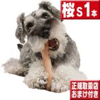 chew 桜Ｓ１本 犬 おもちゃ 噛む 骨型