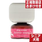  штекер aroma Ford g four ever Young 