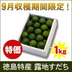 すだち 1キロ露地 3L/2L 箱入 徳島県産