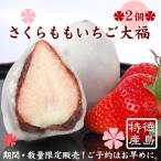 商品画像2