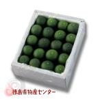 すだち 秀品 1kg 2Lまたは3L 化粧箱入 柑橘類 果物 徳島県産 スダチ