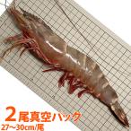 [ очень большой ] super * jumbo иметь голова si- Tiger море . примерно 190g/ хвост 2 хвост вакуум упаковка 