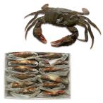  soft shell Club 1Kg package ( approximately 48g/ pcs 24 pcs entering )